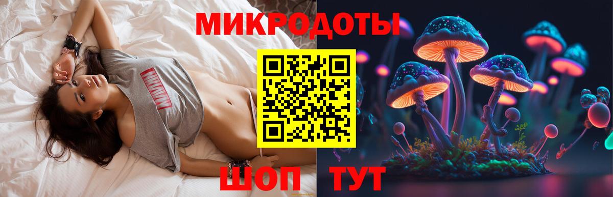 Полевской  Псилоцибиновые грибы Cubensis  Вход с VPN 
